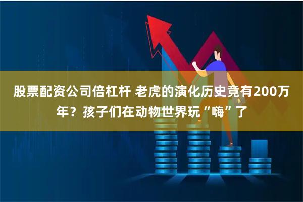 股票配资公司倍杠杆 老虎的演化历史竟有200万年？孩子们在动物世界玩“嗨”了